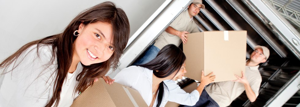 Professional Removalists Streaky Bay